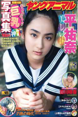 奇异剧本鲨综艺免费观看